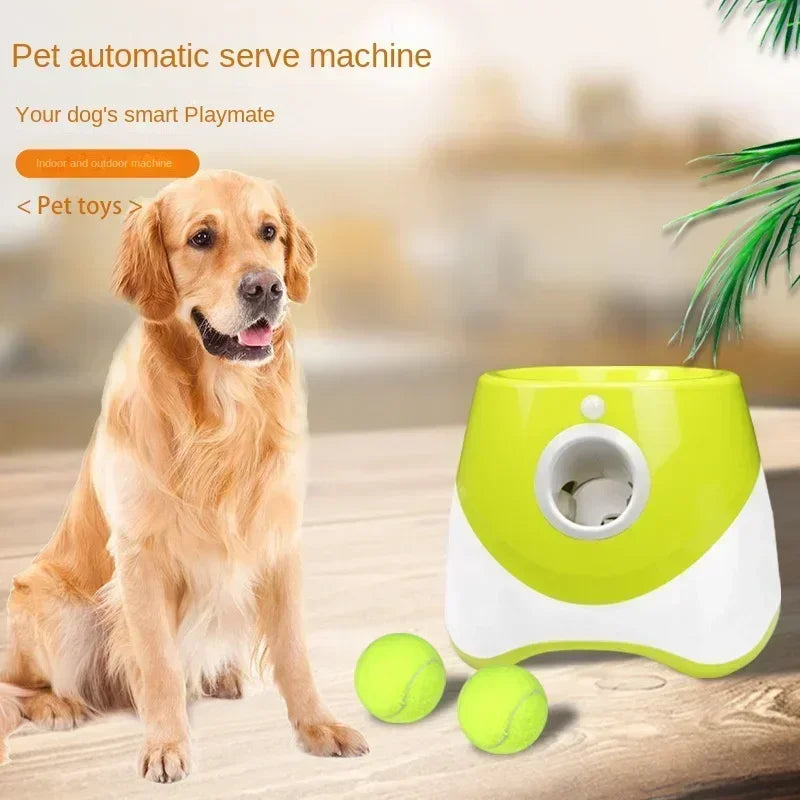 Automatic Tennis Ball Launcher for Dogs – Pet Ball Catapult Machine