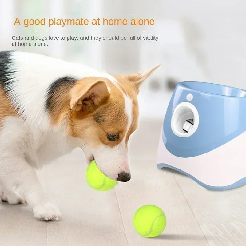 Automatic Tennis Ball Launcher for Dogs – Pet Ball Catapult Machine
