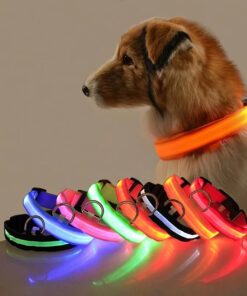 LED Nylon Dog Collar – Glow-In-Dark Safety Strap for Dogs