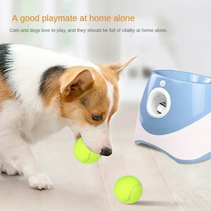 Automatic Tennis Ball Launcher for Dogs – Pet Ball Catapult Machine